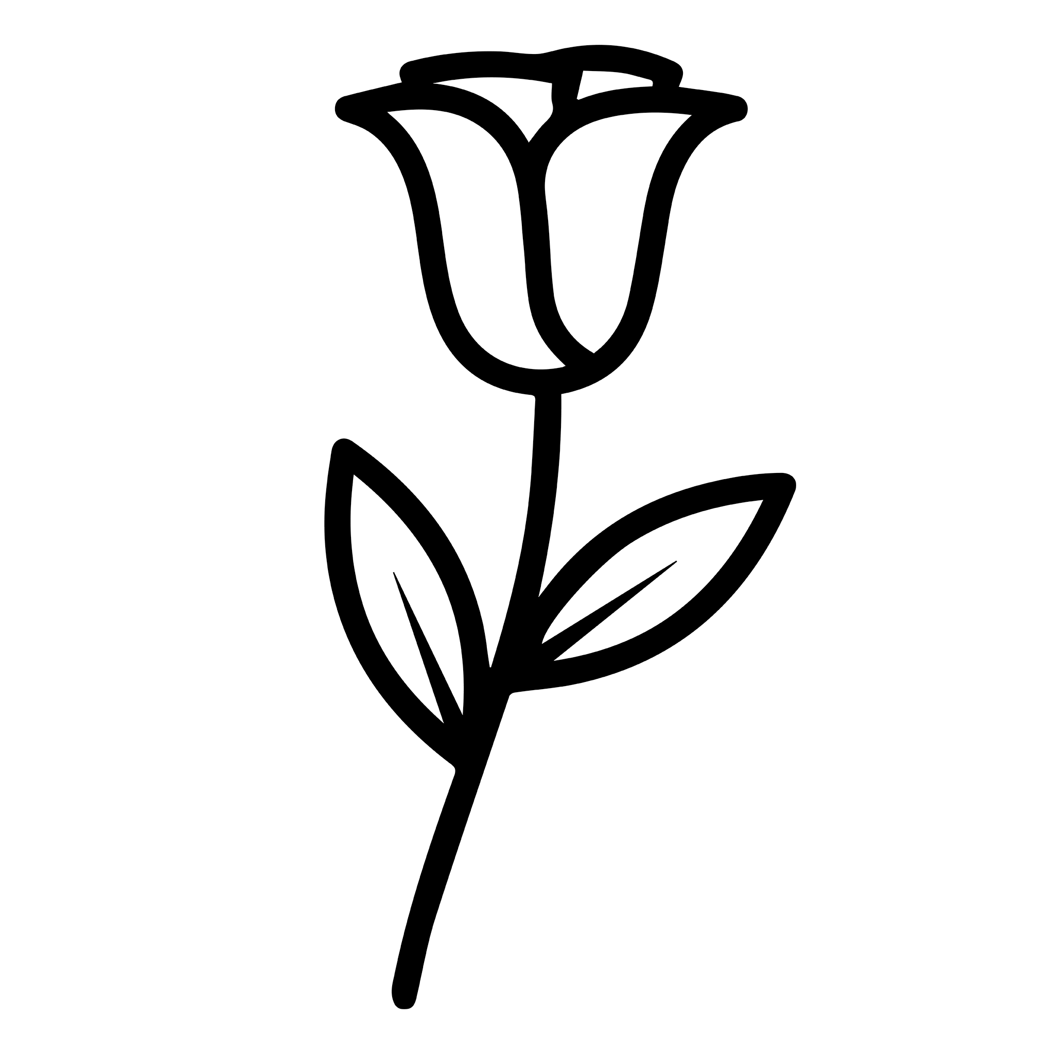 Perfect Rose Weddings